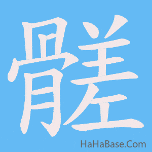《髊》的筆順動畫寫字動畫演示