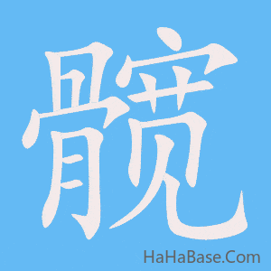 《髋》的筆順動畫寫字動畫演示