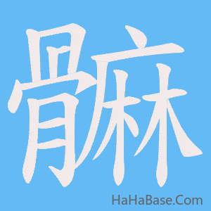 《髍》的筆順動畫寫字動畫演示