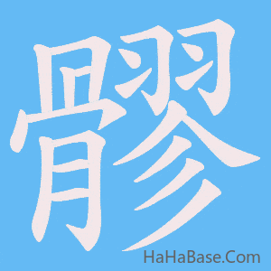 《髎》的筆順動畫寫字動畫演示