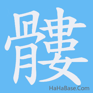 《髏》的筆順動畫寫字動畫演示