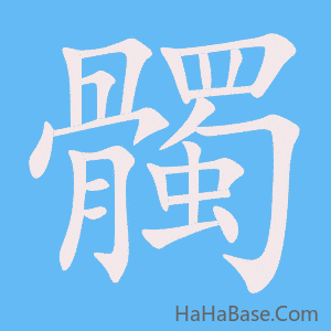 《髑》的筆順動畫寫字動畫演示