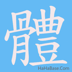 《體》的筆順動畫寫字動畫演示