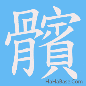 《髕》的筆順動畫寫字動畫演示