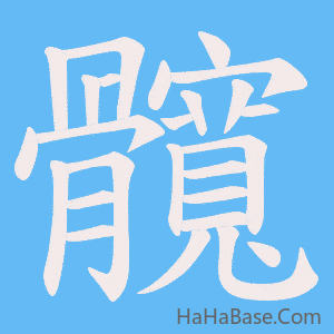 《髖》的筆順動畫寫字動畫演示