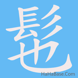 《髢》的筆順動畫寫字動畫演示