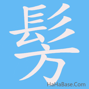 《髣》的筆順動畫寫字動畫演示