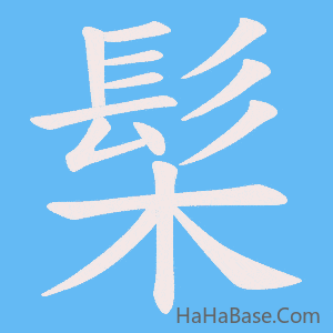 《髤》的筆順動畫寫字動畫演示