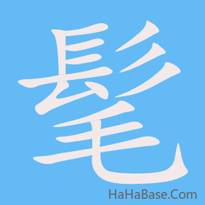 《髦》的筆順動畫寫字動畫演示