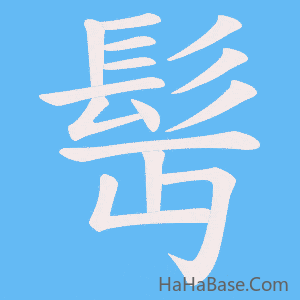 《髩》的筆順動畫寫字動畫演示