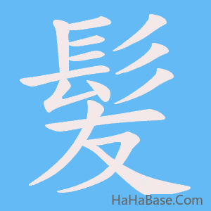 《髪》的筆順動畫寫字動畫演示