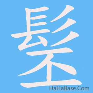 《髬》的筆順動畫寫字動畫演示