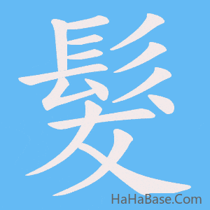 《髮》的筆順動畫寫字動畫演示