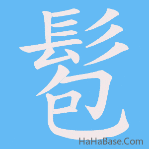 《髱》的筆順動畫寫字動畫演示