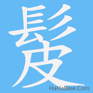 《髲》的筆順動畫寫字動畫演示