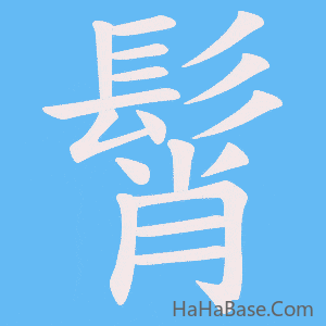 《髾》的筆順動畫寫字動畫演示