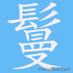 《鬘》的筆順動畫寫字動畫演示