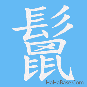 《鬛》的筆順動畫寫字動畫演示