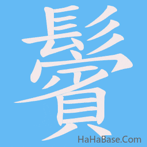 《鬢》的筆順動畫寫字動畫演示