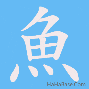 《魚》的筆順動畫寫字動畫演示