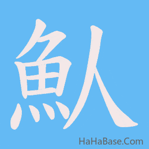 《魜》的筆順動畫寫字動畫演示