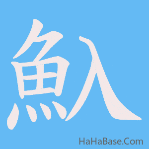 《魞》的筆順動畫寫字動畫演示