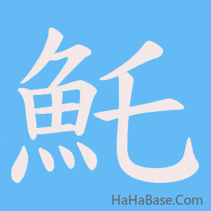《魠》的筆順動畫寫字動畫演示