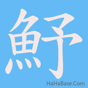 《魣》的筆順動畫寫字動畫演示