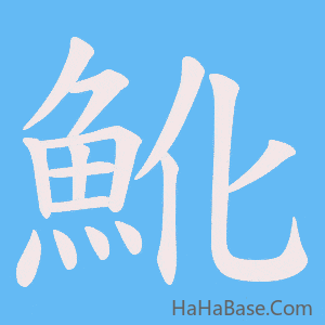 《魤》的筆順動畫寫字動畫演示