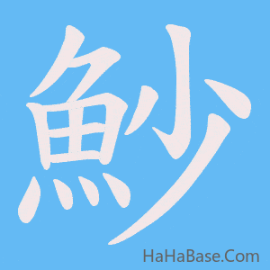 《魦》的筆順動畫寫字動畫演示
