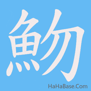 《魩》的筆順動畫寫字動畫演示