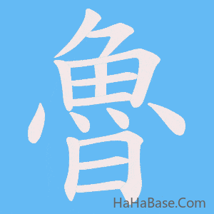 《魯》的筆順動畫寫字動畫演示