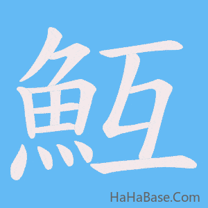 《魱》的筆順動畫寫字動畫演示