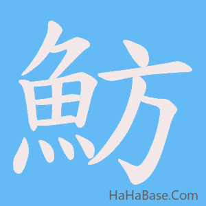 《魴》的筆順動畫寫字動畫演示
