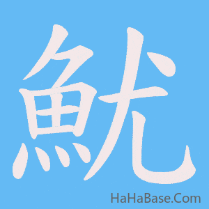 《魷》的筆順動畫寫字動畫演示