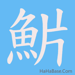 《魸》的筆順動畫寫字動畫演示