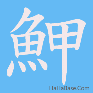 《魻》的筆順動畫寫字動畫演示