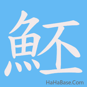 《魾》的筆順動畫寫字動畫演示
