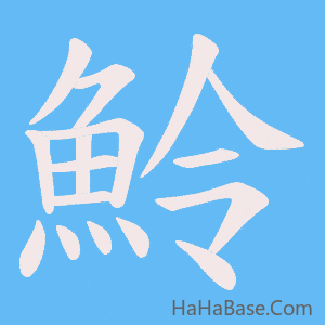 《魿》的筆順動畫寫字動畫演示