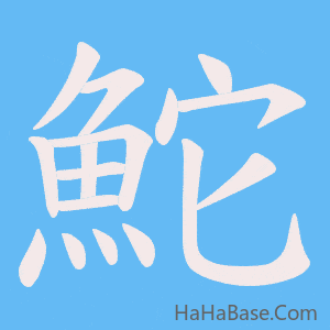 《鮀》的筆順動畫寫字動畫演示