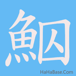 《鮂》的筆順動畫寫字動畫演示