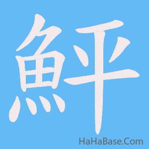 《鮃》的筆順動畫寫字動畫演示
