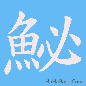 《鮅》的筆順動畫寫字動畫演示