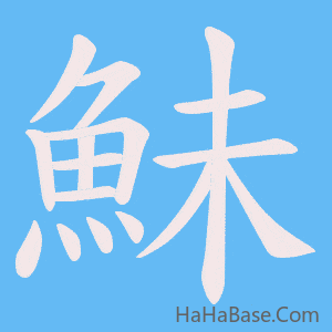 《鮇》的筆順動畫寫字動畫演示