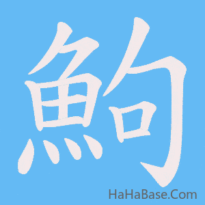 《鮈》的筆順動畫寫字動畫演示