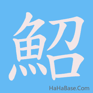 《鮉》的筆順動畫寫字動畫演示