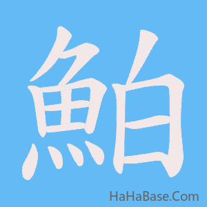 《鮊》的筆順動畫寫字動畫演示