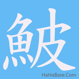 《鮍》的筆順動畫寫字動畫演示