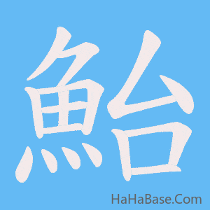 《鮐》的筆順動畫寫字動畫演示