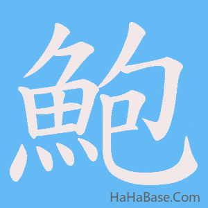 《鮑》的筆順動畫寫字動畫演示